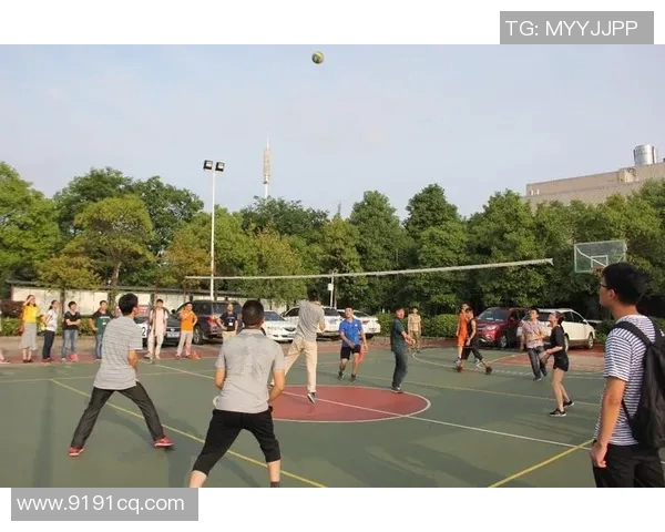 北京排球队总决赛表现分析：个人能力与团队协作的完美结合