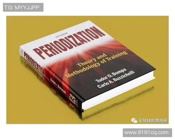 武汉足球队耐力分析与战术适应性研究探讨 武汉足球队耐力分析与战术适应性研究探讨